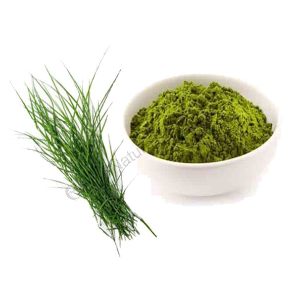 Arugampul Powder Bermuda Grass