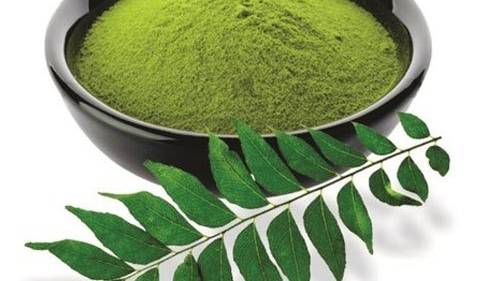 Curry Leaf Powder