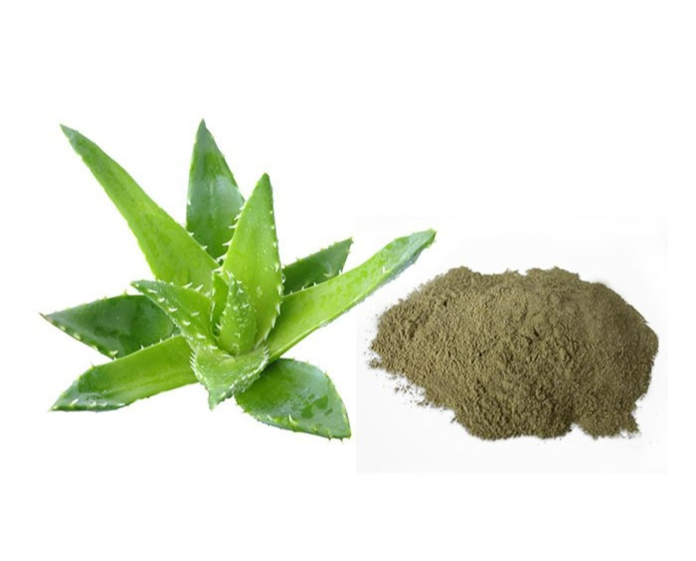Kathalai Powder(Aloe Vera)