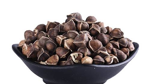 MORINGA SEED WITHOUT WINGS / WINGLESS MORINGA SEEDS