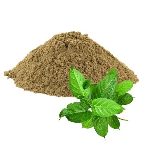 Sirukurinjan Leaf Powder